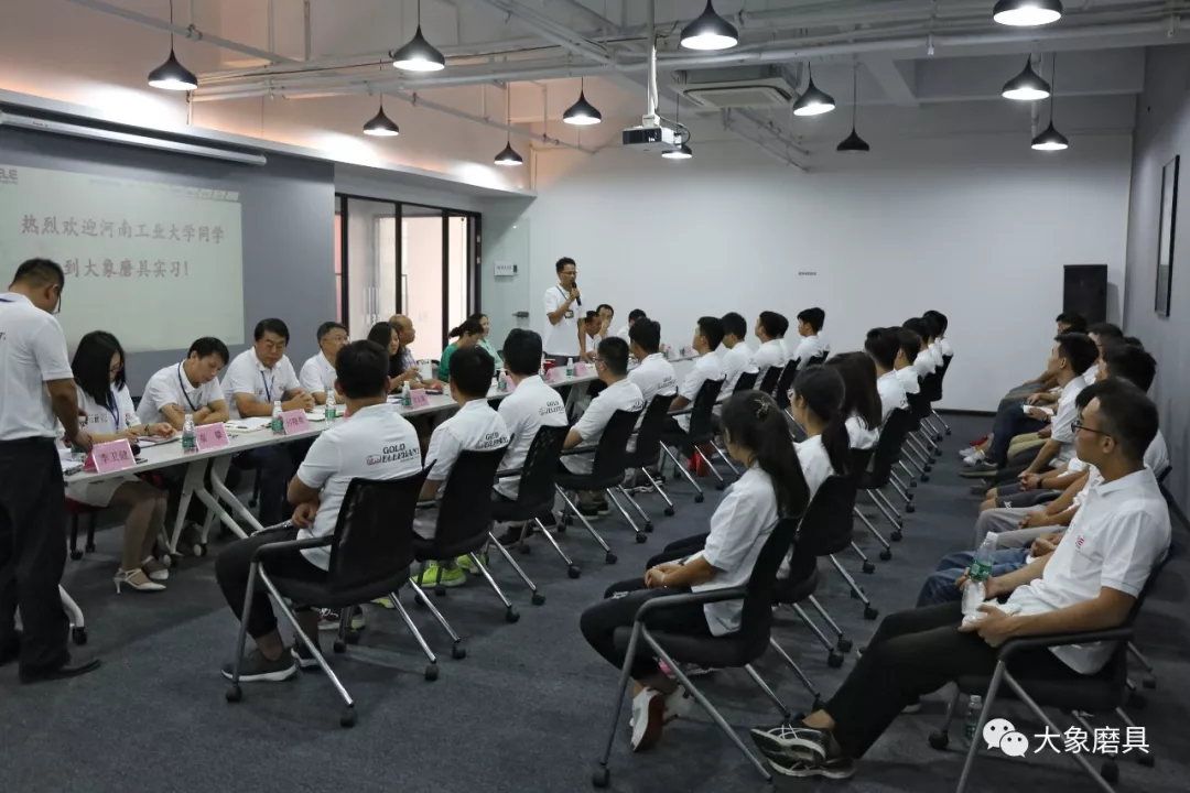 數十學子攜夢奔赴大象磨具 為大象磨具注入青春力量