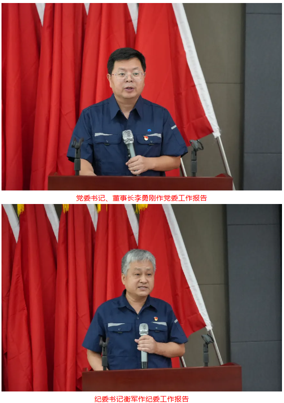 白鴿公司圓滿完成黨委、紀委換屆選舉工作開啟黨建引領高質量發展新征程